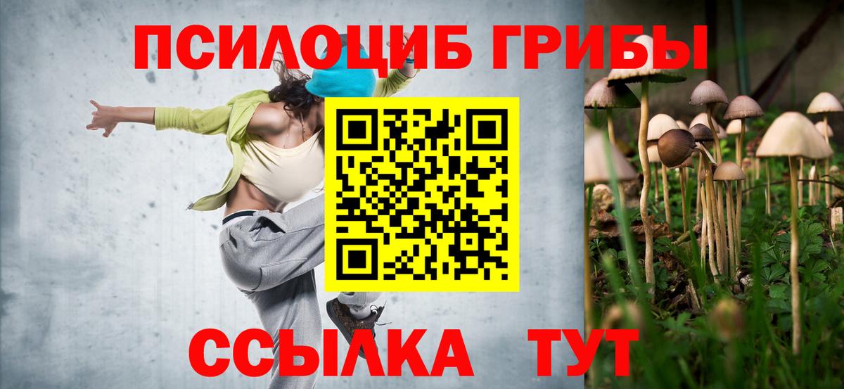 дарнет шоп  Галлюциногенные грибы GOLDEN TEACHER  Вход с VPN  Губкинский 